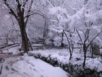 عکس روز- 16 دی خوانسار برفی
