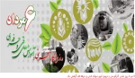 روزملی کارافرینی