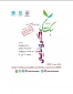 کارگاه اموزشی آنلاین