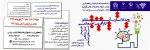 استارتی آپی کارآفرینی اجتماعی 2