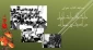 مسابقه کتابخوانی دانشگاه و دانشگاهیان در اندیشه پیر جماران