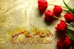 ولادت