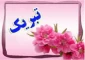 درخشش دانشجویان آموزشکده در مسابقات المپاد ورزشی (شنا)
