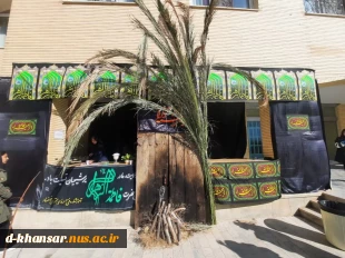 موکب ایام فاطمیه 2